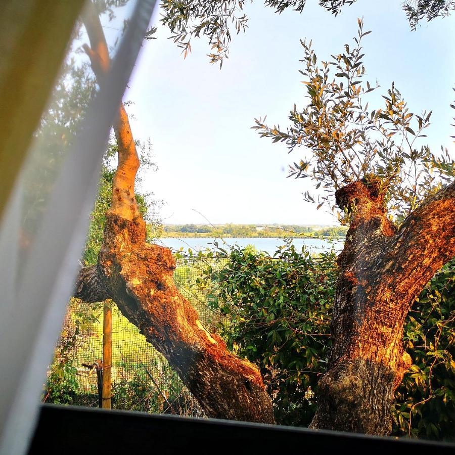 Sul Lago Dorato Terracina Εξωτερικό φωτογραφία