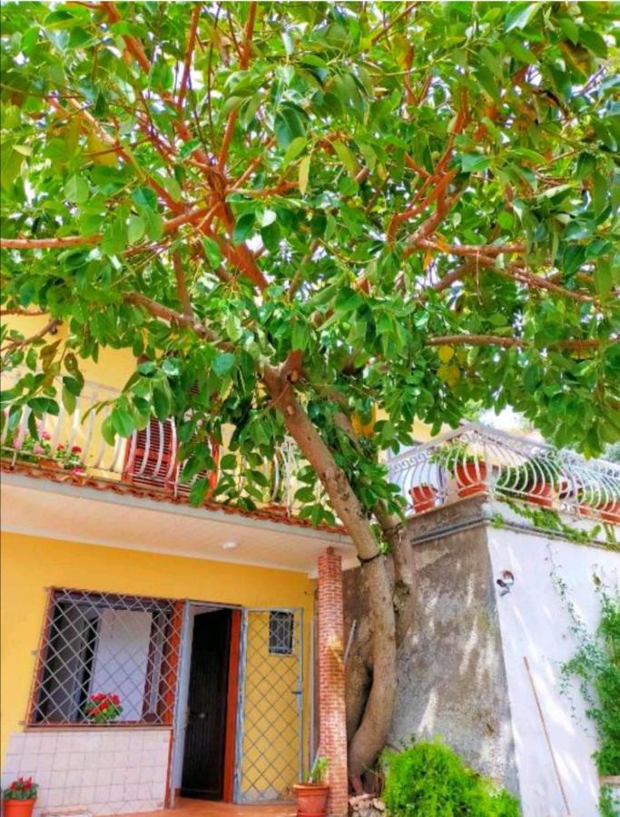 Sul Lago Dorato Terracina Εξωτερικό φωτογραφία